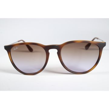Ray-ban Eyewear RB 4171 Unisex Brown Full Rim Designer Sunglasses