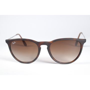 Ray-ban Eyewear RB 4171 Women Brown Full Rim Designer Sunglasses