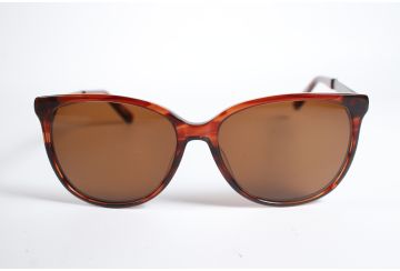 Moschino Eyewear LM 11 Unisex Brown Full Rim Designer Sunglasses