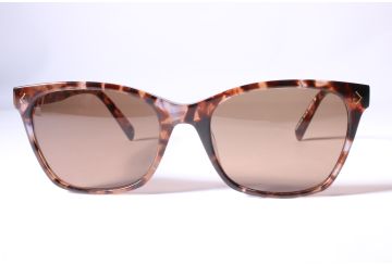Karen Millen Eyewear KM 35 Women Tortoise Full Rim Designer Sunglasses