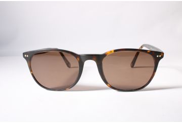 Ted Baker Eyewear Denny Women Tortoise Full Rim Plastic Designer Sunglasses
