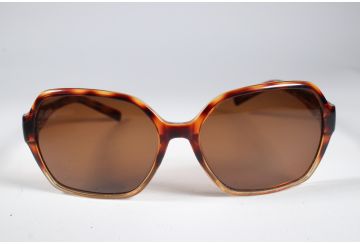 Converse Eyewear Merch Women Brown Full Rim Designer Sunglasses